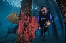 Redang Island Scuba Diving for Beginners