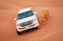 Evening Desert Safari with BBQ Dinner and Quad bike ride