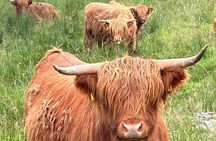 Private Tour of Loch Ness, Glencoe and Highlands from Edinburgh