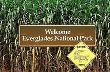  Private Everglades Tour: Explore the Beauty of the Everglades