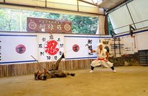 IGA the Birthplace of Ninja with Private Car & Driver (Max 9 Pax)