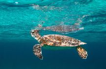 E-Snorkeling tour in Bonaire with easy Sea Scooters