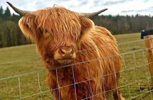 Scone Palace, Nature, Pitlochry, Whisky Experience from Edinburgh