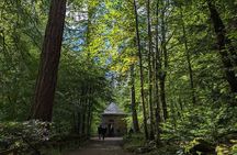 Scone Palace, Nature, Pitlochry, Whisky Experience from Edinburgh