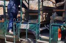 Cheetah + Wild dog Sanctuary, Tribal Dance Lunch + Lion Park