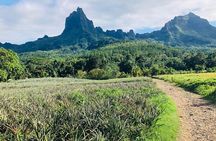 Guided Excursion in 4x4 in Moorea between Land and Sea