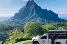Guided Excursion in 4x4 in Moorea between Land and Sea