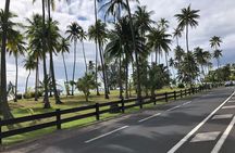 Guided Excursion in 4x4 in Moorea between Land and Sea