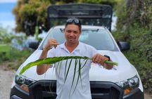 Guided Excursion in 4x4 in Moorea between Land and Sea