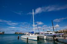 Hawaiian Sea Turtle Snorkel Sail Waikiki