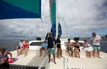 Hawaiian Sea Turtle Snorkel Sail Waikiki