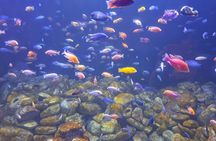 AquaRio and Biopark half-day tour