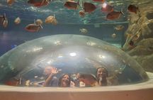 AquaRio and Biopark half-day tour