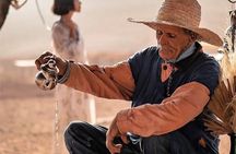Marrakesh: Agafay Desert Sunset, Camel Ride, and Dinner Show 