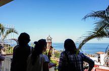Private Walk getting to know the Center of Puerto Vallarta