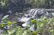 CENTRAL FLORIDA’S BEST PRICED eco-friendly airboat rides