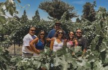 Private Wine Tour in Paso Robles
