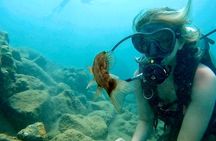 Beginner Scuba Diving Experience With Videos in West Palm Beach