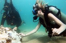 Beginner Scuba Diving Experience With Videos in West Palm Beach