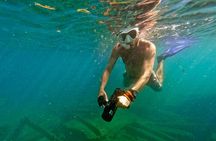 Guided Jet Snorkel Experience, Free Videos in West Palm Beach