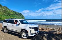 Golden Pineapples & Hidden Gems: A Private Upcountry Tour