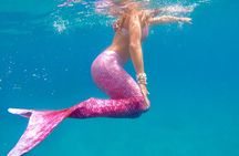 Guided Mermaid Snorkel Experience, Free Videos in West Palm Beach