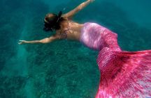 Guided Mermaid Snorkel Experience, Free Videos in West Palm Beach