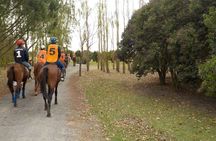 Horseback Riding Tour and Asado in Argentine Countryside
