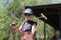 Polo Day with Argentine Asado Day Tour from Buenos Aires