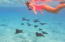 Full-day Lagoon Safari Tour with Lunch in Bora Bora - Shared tour