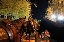 Polo Night Experience with Argentine Asado in Buenos Aires