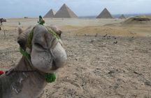 From Alexandria port Giza pyramids,Sphinx &Grand Egyptian Museum 