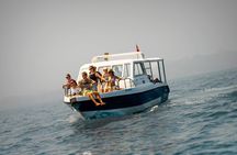 Dolphin Watching in Muscat