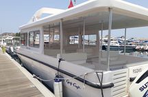 Dolphin Watching in Muscat