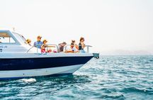 Dolphin Watching in Muscat