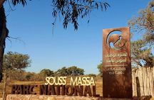 Excursions to the Souss Massa National Park 