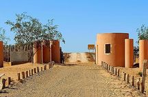 Excursions to the Souss Massa National Park 