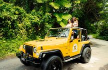 Half Day Private Tour in St. Lucia Jeep Wrangler