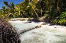 Private Saona Island Experience Visit 4+ Beaches