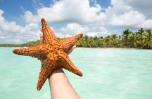 Private Saona Island Experience Visit 4+ Beaches