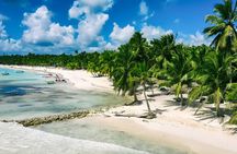 Private Saona Island Experience Visit 4+ Beaches