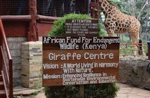 Giraffe Centre and Bomas of Kenya Full-Day Tour from Nairobi