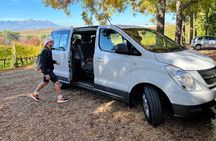 Private Tour: Cape of Good Hope, Chapman’s Peak Drive, Penguins