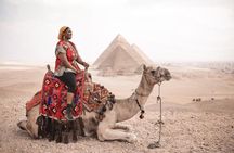 Day Tour to Cairo from Alexandria Port