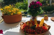 Chania White Mountains Private Tour: From Sea to Summit!