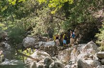 Samaria Gorge Trek Full Day Tour from Georgioupoli with Guide