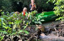 Small Group Tortuguero National Park Canoe Tour