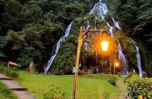 Salento, Cócora and Hot Springs Tour from Pereira or Armenia