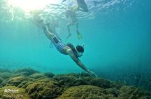 OnBird - PRIVATE ADVENTURE SNORKELING - explore Half-moon reef & Coral Mountain