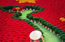 Experience Ninh Binh and Incense Village Private Tour of 3 Days